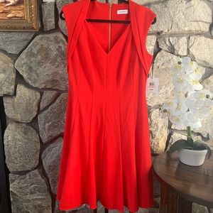 Calvin Klein Red Dress with Gold Zipper, Size 10
